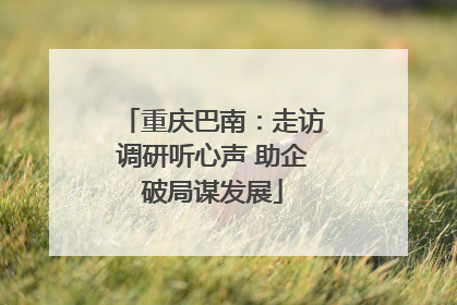 重庆巴南：走访调研听心声 助企破局谋发展