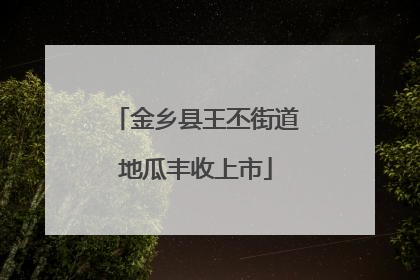 金乡县王丕街道地瓜丰收上市