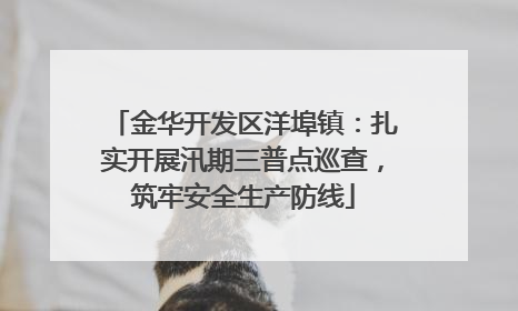 金华开发区洋埠镇：扎实开展汛期三普点巡查，筑牢安全生产防线
