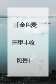 金色麦田里丰收风景