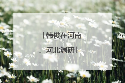 韩俊在河南、河北调研