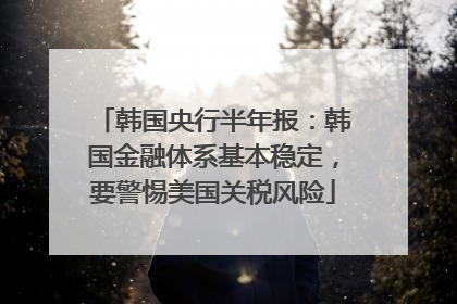 韩国央行半年报：韩国金融体系基本稳定，要警惕美国关税风险