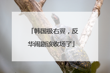 韩国极右翼，反华闹剧该收场了