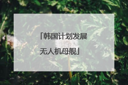 韩国计划发展无人机母舰