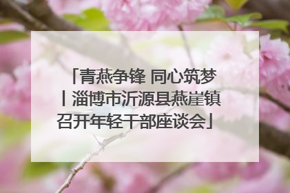 青燕争锋 同心筑梦丨淄博市沂源县燕崖镇召开年轻干部座谈会