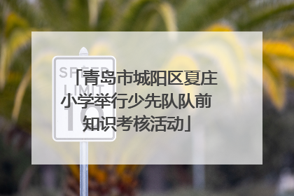 青岛市城阳区夏庄小学举行少先队队前知识考核活动