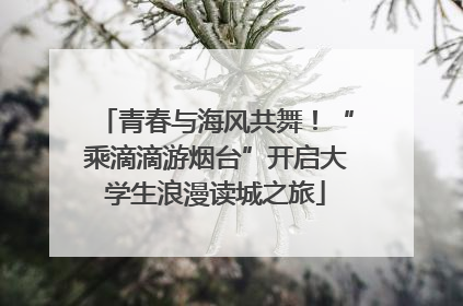 青春与海风共舞！“乘滴滴游烟台”开启大学生浪漫读城之旅