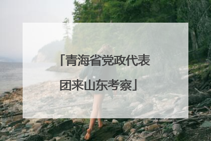 青海省党政代表团来山东考察