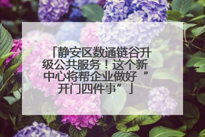 静安区数通链谷升级公共服务！这个新中心将帮企业做好“开门四件事”