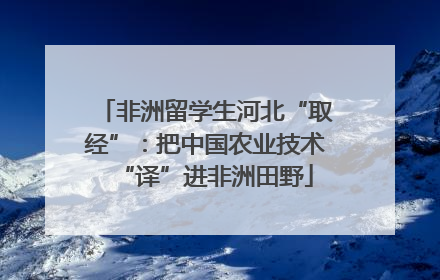 非洲留学生河北“取经”：把中国农业技术“译”进非洲田野