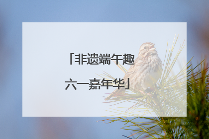 非遗端午趣 六一嘉年华