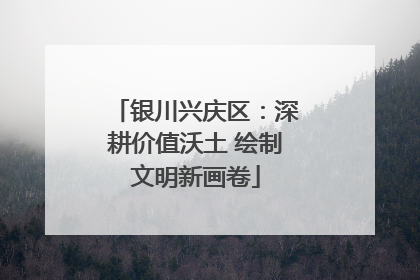 银川兴庆区：深耕价值沃土 绘制文明新画卷