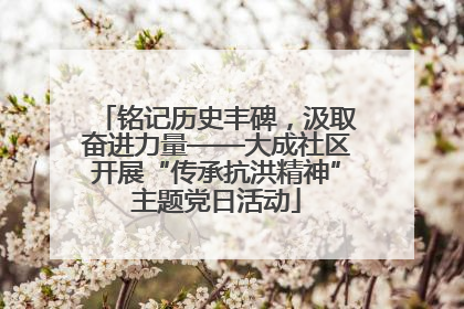 铭记历史丰碑，汲取奋进力量——大成社区开展“传承抗洪精神”主题党日活动