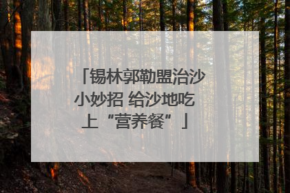 锡林郭勒盟治沙小妙招 给沙地吃上“营养餐”
