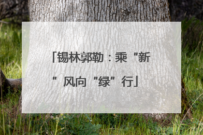 锡林郭勒：乘“新”风向“绿”行