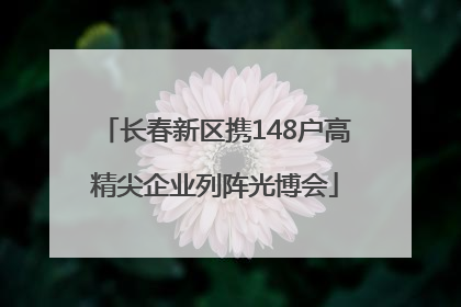 长春新区携148户高精尖企业列阵光博会