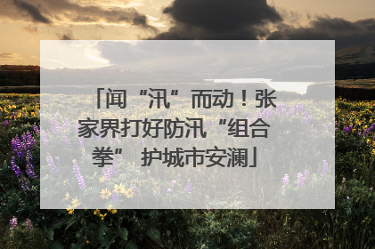 闻“汛”而动！张家界打好防汛“组合拳” 护城市安澜
