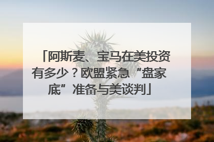 阿斯麦、宝马在美投资有多少？欧盟紧急“盘家底”准备与美谈判