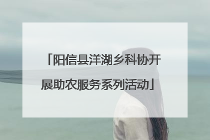 阳信县洋湖乡科协开展助农服务系列活动