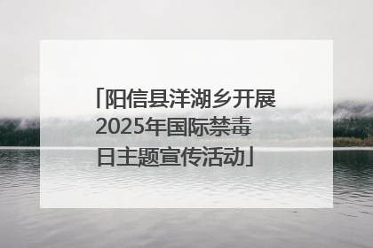 阳信县洋湖乡开展2025年国际禁毒日主题宣传活动