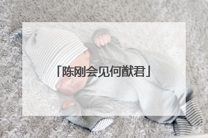 陈刚会见何猷君