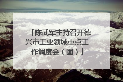 陈武军主持召开德兴市工业领域重点工作调度会（图）