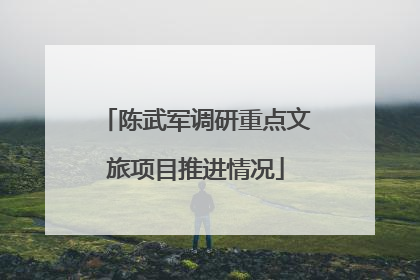 陈武军调研重点文旅项目推进情况