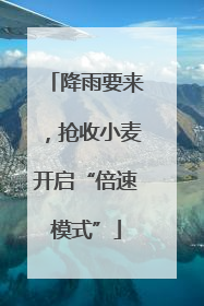 降雨要来，抢收小麦开启“倍速模式”