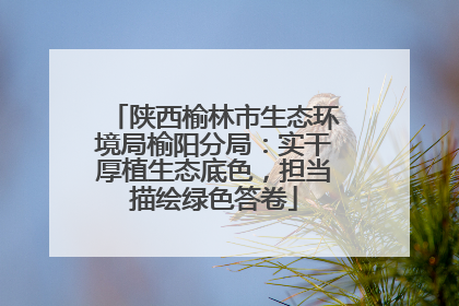 陕西榆林市生态环境局榆阳分局：实干厚植生态底色，担当描绘绿色答卷