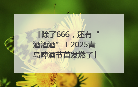 除了666，还有“酒酒酒”！2025青岛啤酒节首发燃了