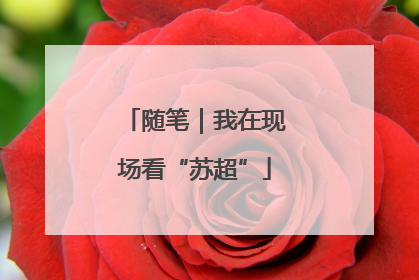 随笔｜我在现场看“苏超”