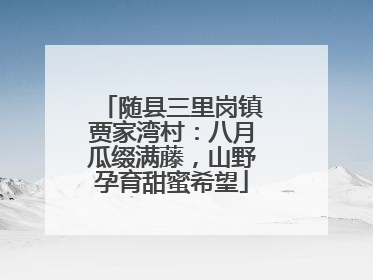 随县三里岗镇贾家湾村：八月瓜缀满藤，山野孕育甜蜜希望