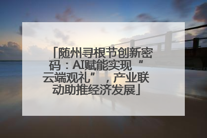 随州寻根节创新密码：AI赋能实现“云端观礼”，产业联动助推经济发展