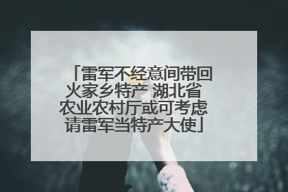 雷军不经意间带回火家乡特产 湖北省农业农村厅或可考虑请雷军当特产大使