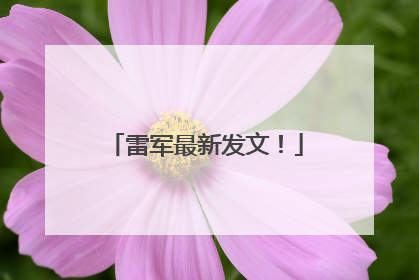 雷军最新发文！