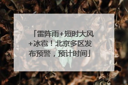 雷阵雨+短时大风+冰雹！北京多区发布预警，预计时间