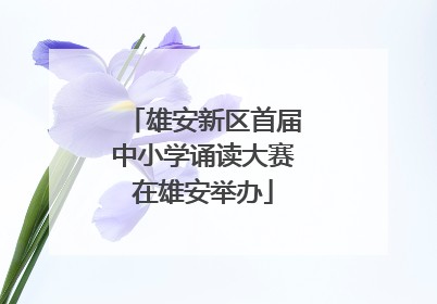 雄安新区首届中小学诵读大赛在雄安举办