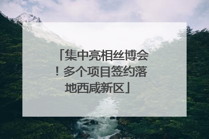 集中亮相丝博会！多个项目签约落地西咸新区