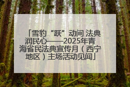 雪豹“跃”动间 法典润民心——2025年青海省民法典宣传月（西宁地区）主场活动见闻