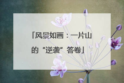 风景如画：一片山的“逆袭”答卷