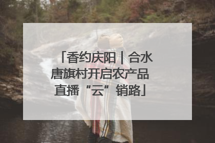 香约庆阳｜合水唐旗村开启农产品直播“云”销路