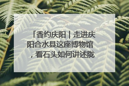 香约庆阳｜走进庆阳合水县这座博物馆，看石头如何讲述陇东千年历史