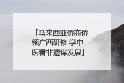 马来西亚侨商侨领广西研修 学中医看非遗谋发展