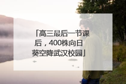 高三最后一节课后，400株向日葵空降武汉校园