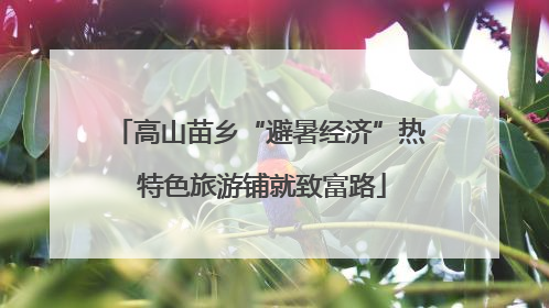 高山苗乡“避暑经济”热 特色旅游铺就致富路