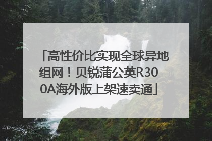 高性价比实现全球异地组网！贝锐蒲公英R300A海外版上架速卖通