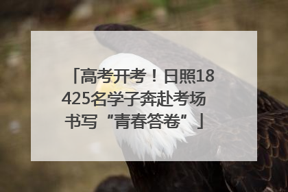 高考开考！日照18425名学子奔赴考场书写“青春答卷”