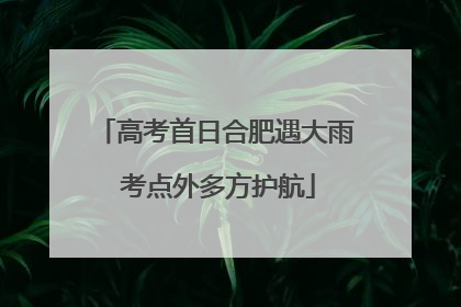 高考首日合肥遇大雨 考点外多方护航