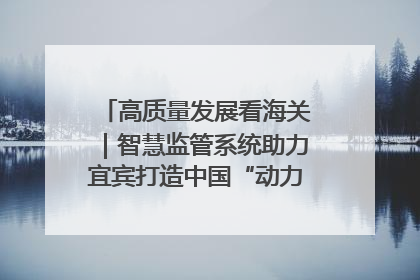 高质量发展看海关｜智慧监管系统助力宜宾打造中国“动力电池之都”