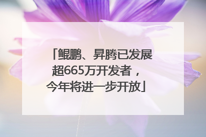 鲲鹏、昇腾已发展超665万开发者，今年将进一步开放